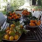 Maria بيت للعطل