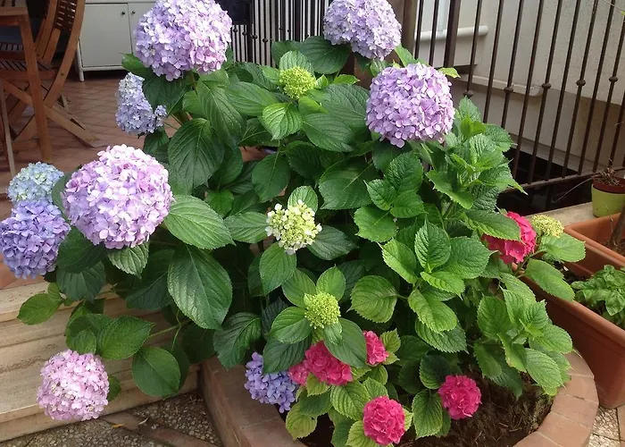 Casa de Férias Maria Mondello